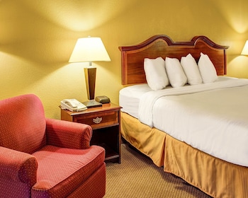 Standard Room, 1 King Bed, Non Smoking