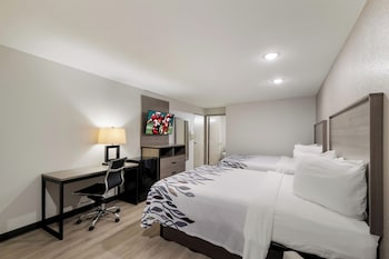 Deluxe Room, 2 Double Beds, Non Smoking, Poolside