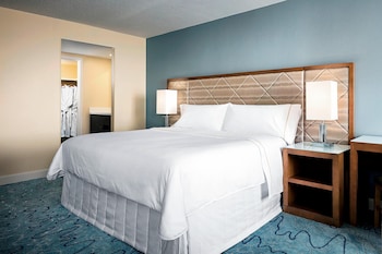 Traditional Room, 1 King Bed (Mobility/Hearing Accessible, Tub)