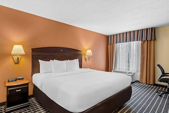 Standard Room, 1 King Bed, Non Smoking