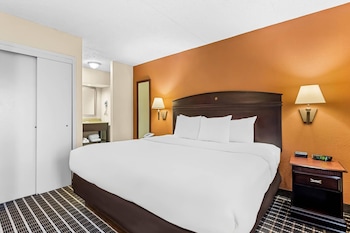 Suite, 1 King Bed with Sofa bed, Non Smoking