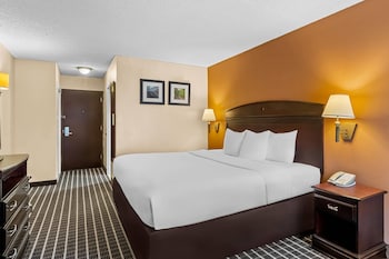 Standard Room, 1 King Bed, Non Smoking
