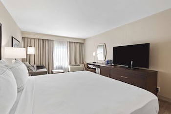 Room, 1 King Bed with Sofa bed