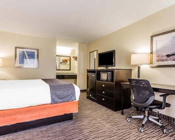 Standard Room, 1 King Bed, Non Smoking