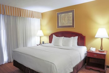Suite, 1 Bedroom