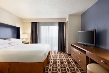 Suite, 1 King Bed, Accessible (Roll-In Shower)