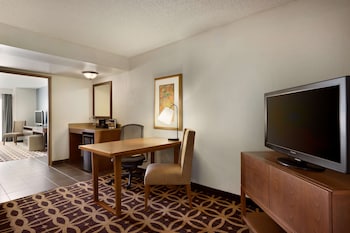 Suite, 1 King Bed, Accessible (Roll-In Shower)