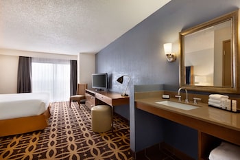 Suite, 1 King Bed, Accessible (Roll-In Shower)
