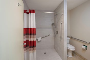 Deluxe Room, 2 Queen Beds, Accessible, Non Smoking (Roll-In Shower)