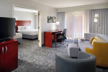 Room, 1 King Bed with Sofa bed