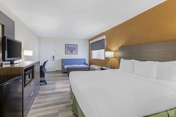 Suite, 1 King Bed with Sofa bed, Non Smoking, Kitchen (with Sofabed)