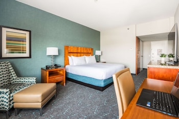 Room, 1 King Bed, Accessible, Non Smoking