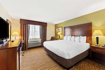 Standard Room, 1 King Bed, Accessible, Refrigerator & Microwave (Walk-in Shower)