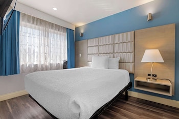 Standard Room, Multiple Beds, Non Smoking, Refrigerator