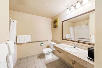 Standard Room, 1 King Bed, Accessible, Bathtub
