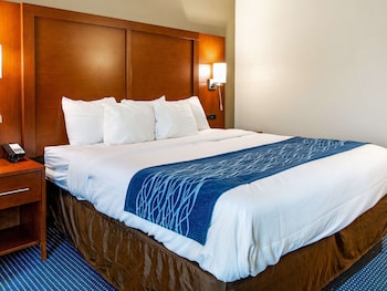 Standard Room, 1 King Bed, Non Smoking