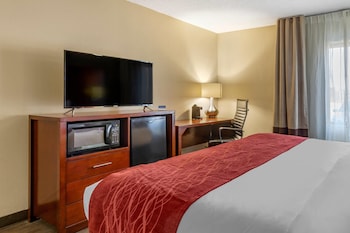 Accessible Non Smoking King room