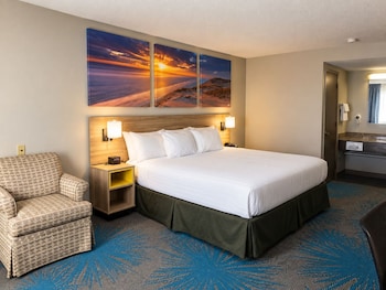 Room, 1 King Bed, Non Smoking (Pet-friendly)
