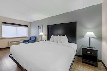 Standard Room, 1 King Bed, Accessible, Refrigerator & Microwave