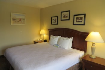 Business Room, 1 King Bed