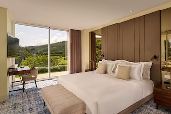 Studio Suite, 1 Bedroom, Terrace (Terrace)