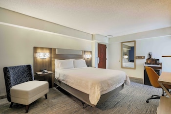 Room, 1 Queen Bed, Accessible, Non Smoking (Roll-in Shower)