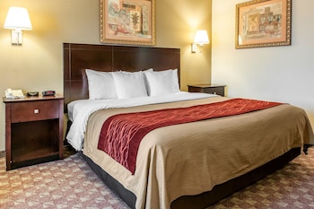 Standard Room, 1 King Bed, Non Smoking