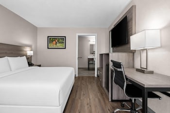 Standard Room, 1 Queen Bed, Non Smoking
