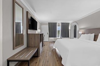 Suite, 1 King Bed, Non Smoking