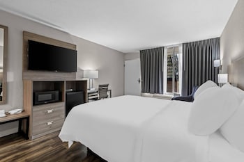 Room, 1 King Bed, Accessible, Non Smoking