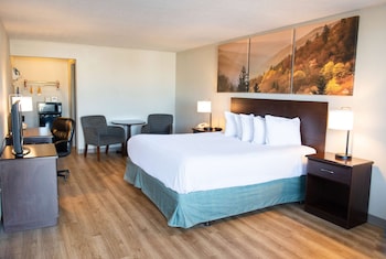 Room, 1 King Bed, Mobility Accessible, Non Smoking (Bathtub w/ Grab Bars)