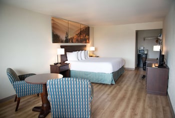 Superior Room, 1 King Bed, Non Smoking