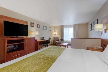 Suite, 1 King Bed with Sofa bed, Non Smoking (Upgrade)