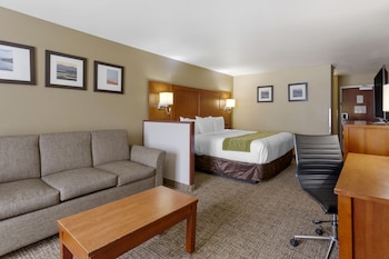 Suite, 1 King Bed with Sofa bed, Non Smoking (Upgrade)