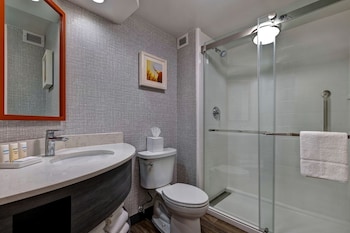 Room, 1 King Bed, Accessible (Roll-In Shower)