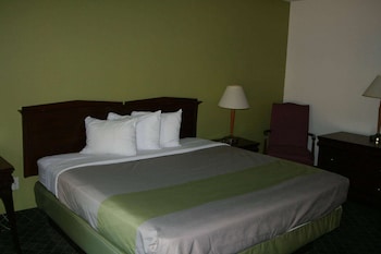 Room, 1 King Bed, Non Smoking