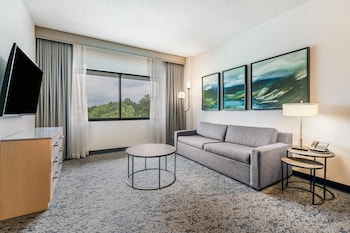 Suite, 1 King Bed, Hearing Accessible, Microwave