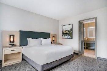 Suite, 1 King Bed with Sofa bed, Jetted Tub