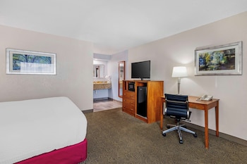 Standard Room, 1 King Bed, Smoking, Refrigerator & Microwave