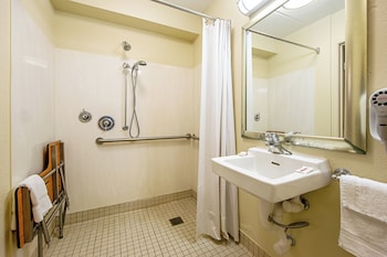 Deluxe Room, 1 King Bed, Accessible (Roll-In Shower, Smoke Free)