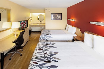 Standard Room, 2 Double Beds, Accessible, Non Smoking (Smoke Free)