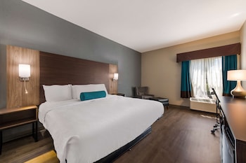 Standard Room, 1 King Bed, Non Smoking, Refrigerator & Microwave