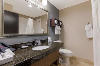 Standard Room, 1 King Bed, Non Smoking, Refrigerator & Microwave