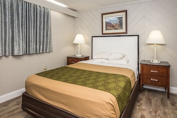 Single Room, 1 Queen Bed