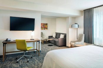 Suite, 1 King Bed with Sofa bed, Hearing Accessible