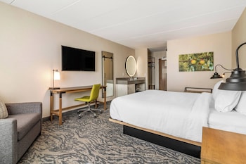 Room, 1 King Bed with Sofa bed, Roll-in Shower