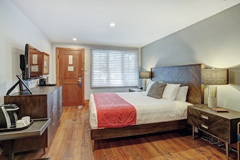 Room, 1 Bedroom (Lodge Residence)