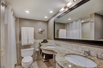 Executive Suite, 1 King Bed with Sofa bed