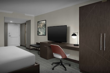Room, 1 King Bed, Roll-in Shower (Transfer Shower)