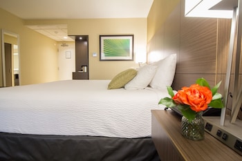 Premier Room, 1 King Bed